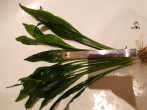20190210_152046.jpg