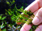 DSCF7208.jpg