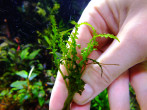 DSCF7209.jpg