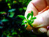 DSCF7210.jpg
