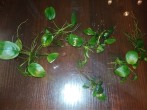 IMG_20190218_174655.jpg