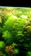 copy_157_IMG_20190110_1416471.jpg