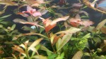 copy_163_IMG_20180605_1128081.jpg