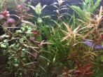 copy_320_180220081848.jpg