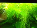 100_3448.JPG