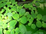 100_3449.JPG