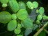 100_3455.JPG