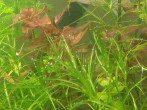 20190309_150954.jpg