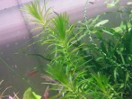 20190321_085407.jpg