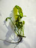 DSCF7384.jpg