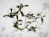 DSCF7395.jpg
