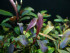 F481AE47-D965-4CB6-85BF-D504BA9EC602.jpeg