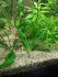 IMG_20190316_184541.jpg