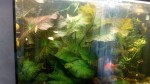 IMG_20190318_090629.jpg