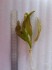 copy_191_20190321_105204.jpg