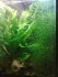 copy_308_copy_470_010520171696.jpg