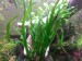 copy_331_20190314_145019.jpg