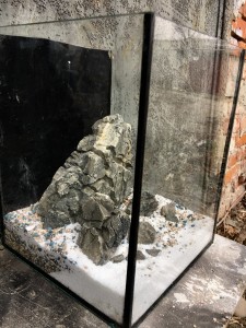 copy_341_IMG_2196.jpg