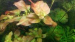 copy_343_IMG_20190304_101334.jpg