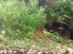 copy_406_220220161447.jpg