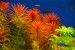 copy_438_copy_73_copy_376_copy_142_2-3.jpg