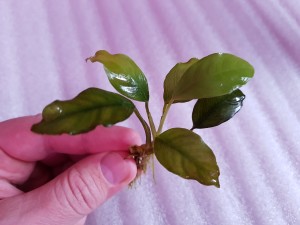 copy_444_20190317_111448.jpg