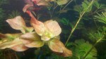 copy_468_IMG_20190304_101403.jpg