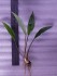 copy_516_20190308_172703.jpg