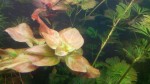copy_648_IMG_20190304_101404.jpg