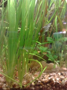 copy_688_090120171651.jpg