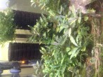 copy_756_copy_610_image.jpeg