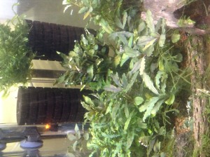 copy_756_copy_610_image.jpeg
