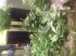 copy_756_copy_610_image.jpeg