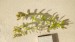 copy_875_P_20190301_135841.jpg
