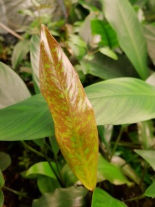copy_948_20190308_175619.jpg