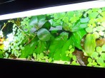 100_3565.JPG