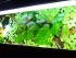 100_3565.JPG