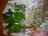 100_3609.JPG