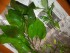 100_3610.JPG