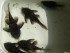 101_0026.JPG