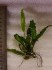 20190404_162653.jpg