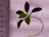 20190407_123220.jpg