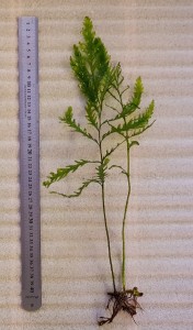 20190410_144314.jpg