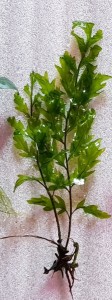 20190410_145149.jpg