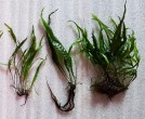 20190410_145218.jpg