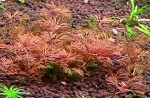 IMG_20160412_213417.jpg