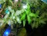 IMG_20181204_183801.jpg