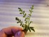 copy_27_20190416_155850.jpg
