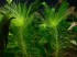 copy_323_copy_75_2018-02-07_102303.jpg