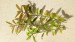 copy_325_copy_598_P_20190301_134137.jpg